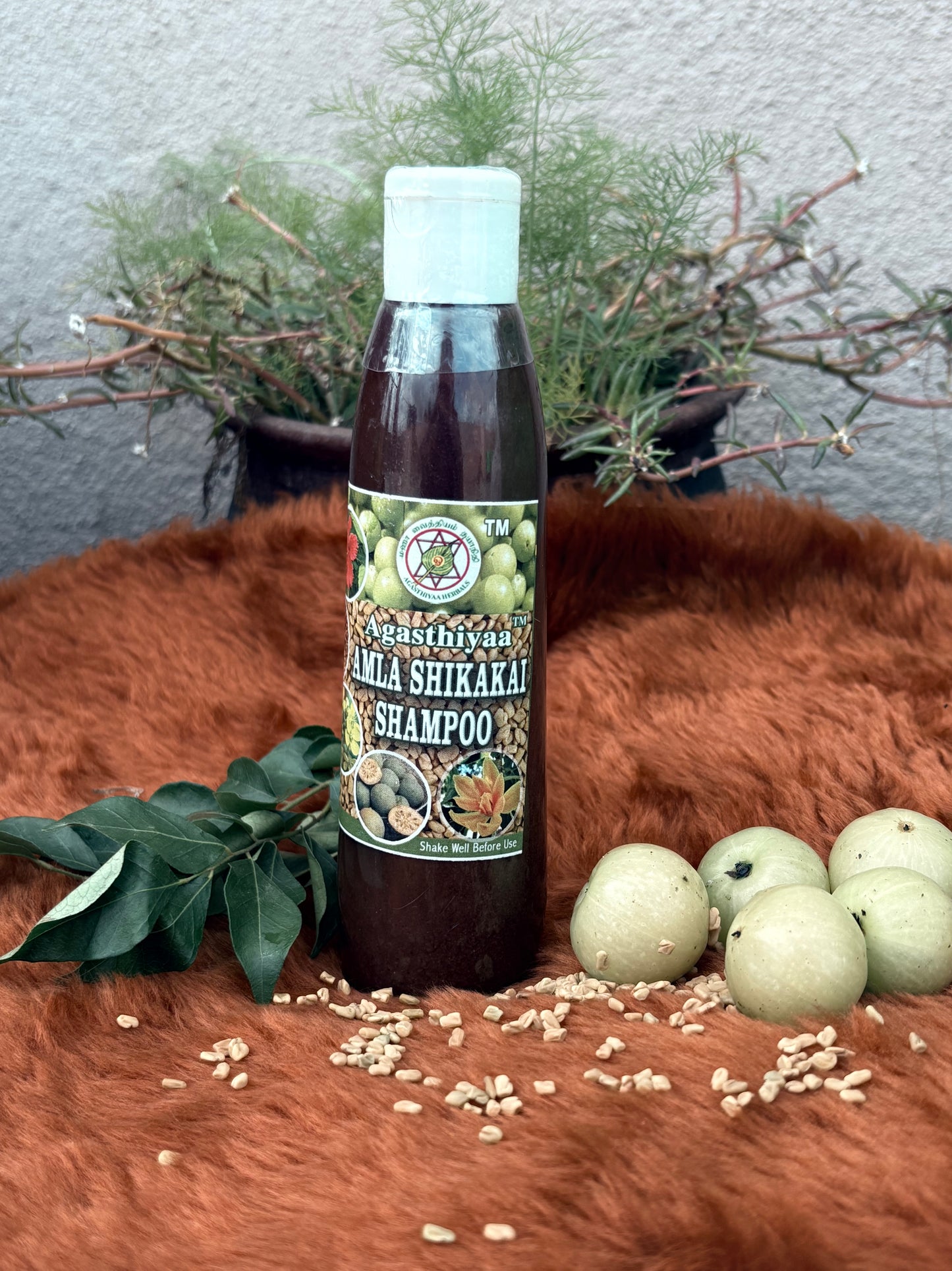 Amla Shikakai Shampoo (ஆம்லா  சீயக்காய் சாம்பு)