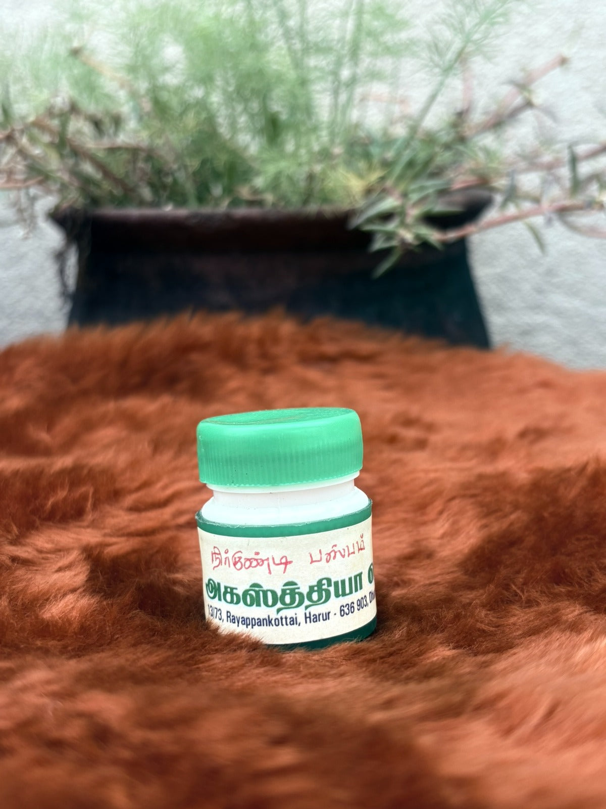 Nirkundi Baspam (நிர்குண்டி  பஸ்பம்)