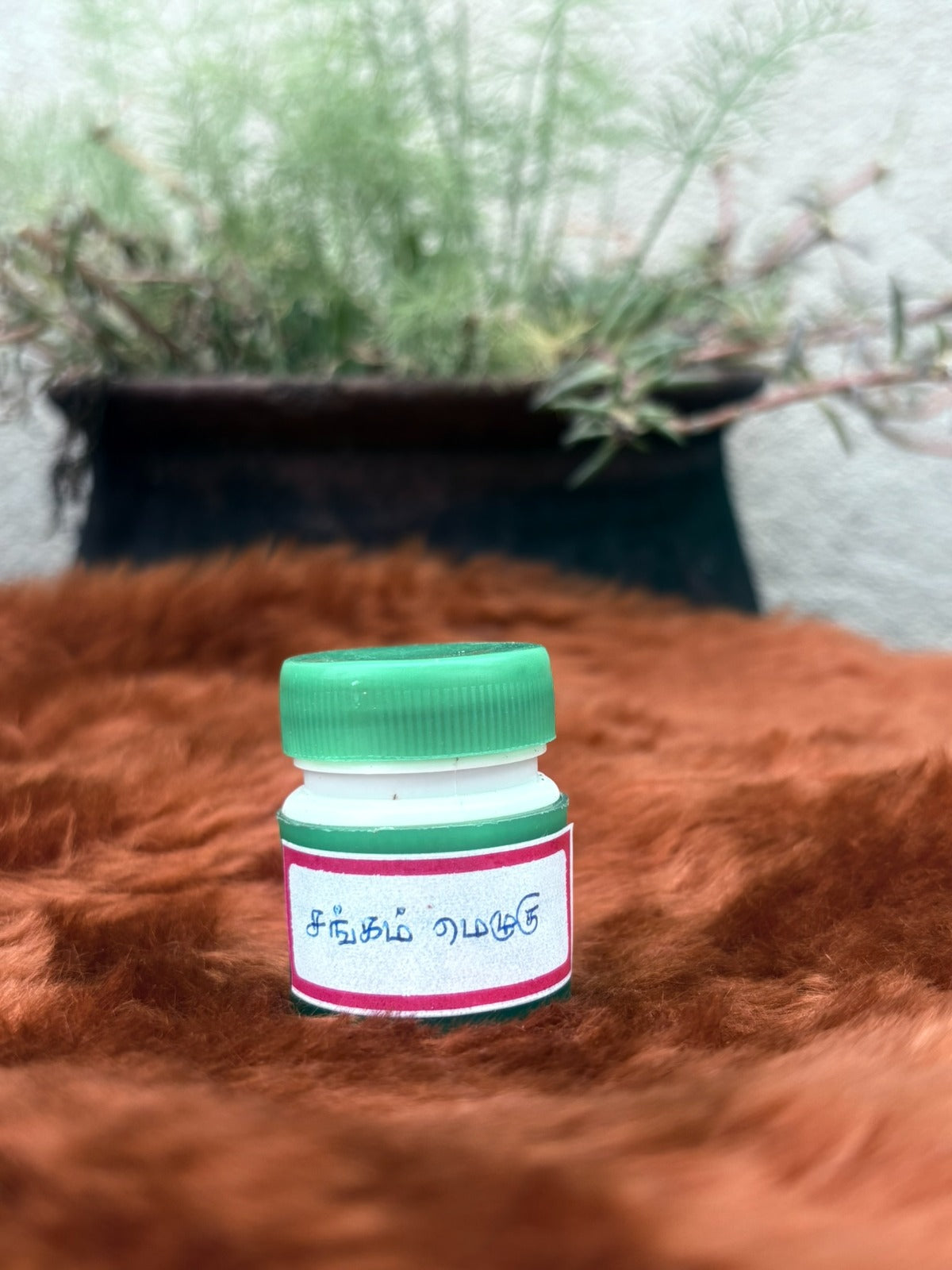 Sangam Wax (சங்கம் மெழுகு)