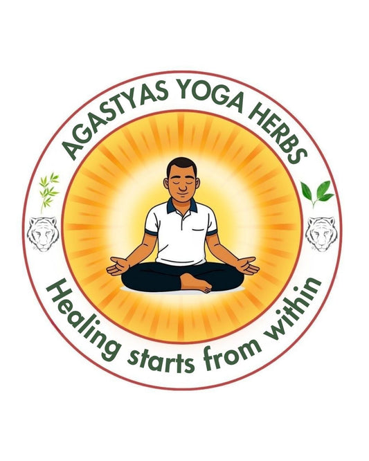 Breath Flow Mastery Workshop